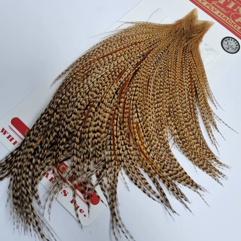 Whiting Silver Grade Rooster Cape in CREE-1